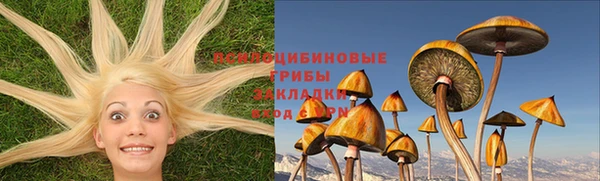 тгк Струнино