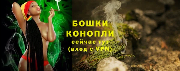 ECSTASY Строитель