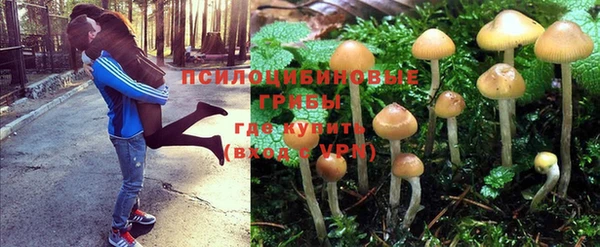 ECSTASY Строитель