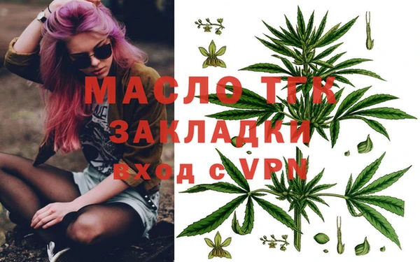 тгк Струнино