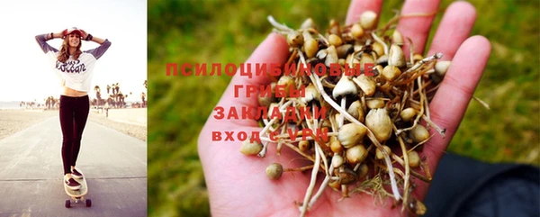 ECSTASY Строитель